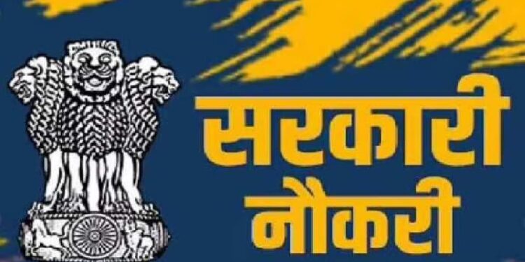 राज्याच्या अन्न, नागरी पुरवठा विभागात मोठी मेगा भरती ; त्वरित करा अर्ज