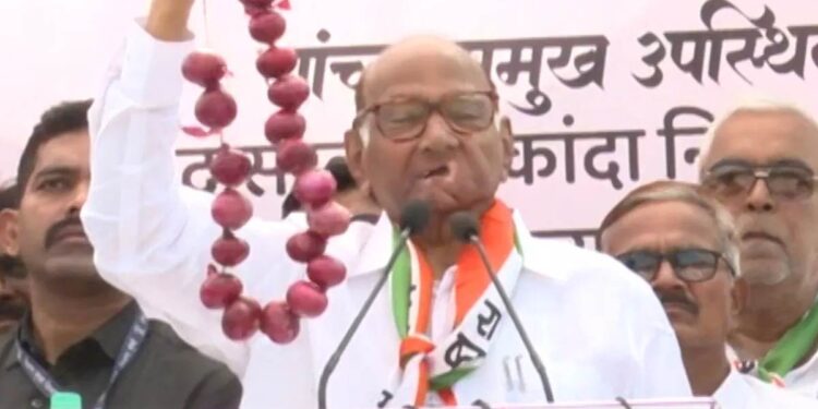 रस्त्यावर आल्याशिवाय दिल्लीला कळत नाही ; कांदा प्रश्नावरून पवारांचा मोदी सरकारवर हल्लाबोल