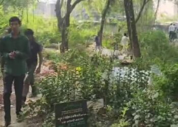 बापरे! जळगावात एक दिवसापूर्वी पुरलेल्या नवजाताचा मृतदेह लांबविला