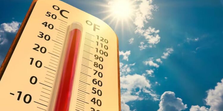 जळगावात गारठा कमी होऊन तापमान वाढणार ; वाचा हवामान खात्याचा अंदाज