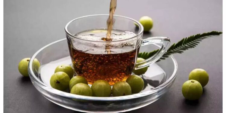 आवळा चहा पिण्याचे फायदे वाचून चकित व्हाल ; वाचा काय आहेत