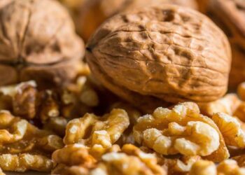 दररोज मूठभर अक्रोड खाल्ल्याने हे धोकेदायक आजार होतील दूर