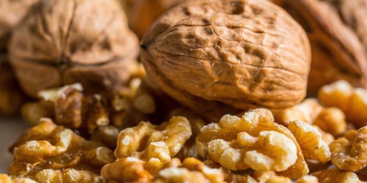 दररोज मूठभर अक्रोड खाल्ल्याने हे धोकेदायक आजार होतील दूर