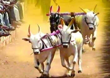 बैलगाडी शर्यती आयोजित करण्यासाठी जिल्हाधिकाऱ्यांची अटी व शर्तीसह मान्यता बंधनकारक