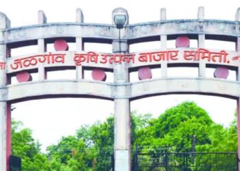 जळगावातील बाजार समितीचा आज व्यवहार बंद ; हे आहेत कारण?