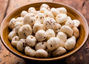 हे आहेत मखाणा खाण्याचे अप्रतिम फायदे ; वाचून थक्क व्हाल..