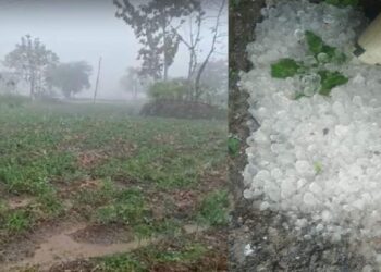 अवकाळीमुळे तोंडचा घास पळाला ; जळगावमधील शेतकरी हवालदिल