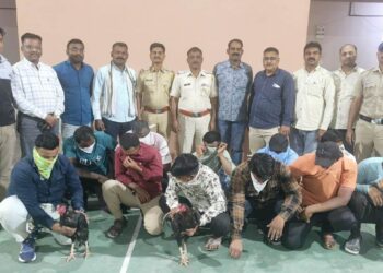 कोंबड्यांच्या झुंज लावून सट्टा, पत्ता खेळणाऱ्या ११ जणांना ठोकल्या बेड्या