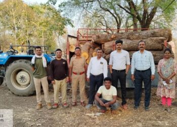अवैधरित्या लाकूड वाहतूक करणाऱ्यावर गुन्हा दाखल