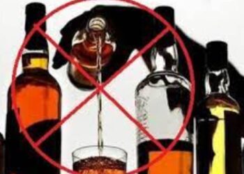 महाराष्ट्रात अवैधरीत्या दारू तस्करी ; ‘एमपी’तून येणारी ७० खोके बिअर पकडली!