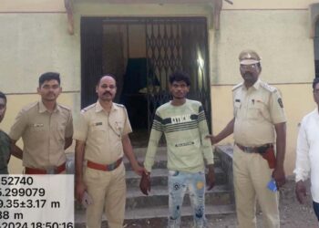 वन विभागाची कारवाई ; देवझिरी वनक्षेत्रात झाडाची चोरी करणाऱ्यास एकास वन कोठडी