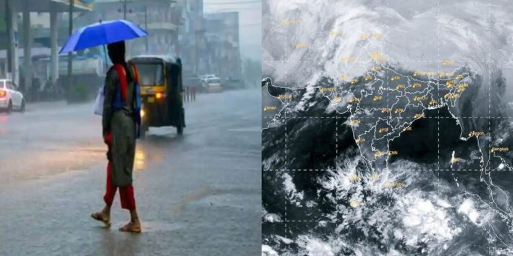 शेतकऱ्यांनो पिकांची काळजी घ्या! जळगाव जिल्ह्यात मेघगर्जनेसह पावसाची शक्यता