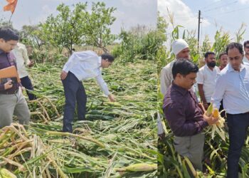 जिल्हाधिकाऱ्यांचा जामनेर तालुका दौरा; अवकाळी पावसामुळे झालेल्या नुकसानीची केली पाहणी