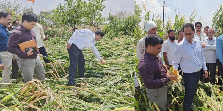 जिल्हाधिकाऱ्यांचा जामनेर तालुका दौरा; अवकाळी पावसामुळे झालेल्या नुकसानीची केली पाहणी