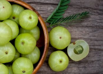 आवळा खाल्ल्याने हे आहेत आरोग्यदायी फायदे ; काय आहेत जाणून घ्या