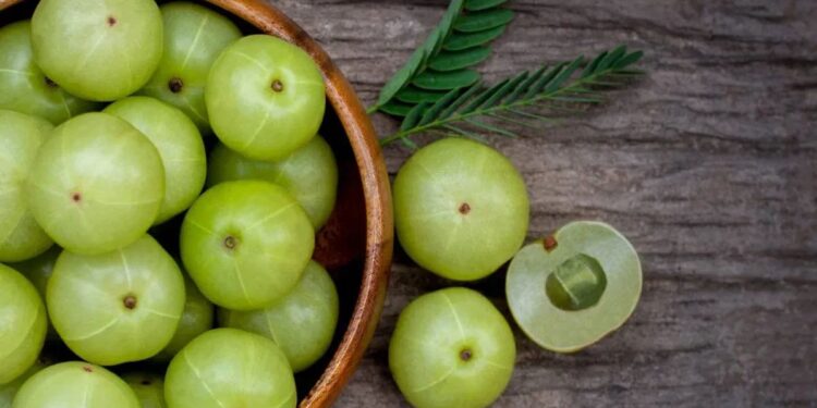 आवळा खाल्ल्याने हे आहेत आरोग्यदायी फायदे ; काय आहेत जाणून घ्या