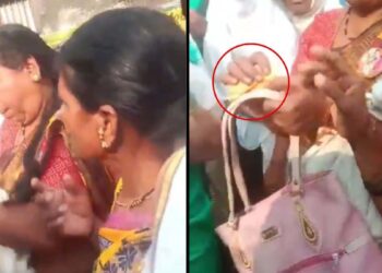 भाजपच्या सभेला ३०० रुपये देऊन रोजंदारीने माणसं? रोहित पवारांनी शेअर केला VIDEO