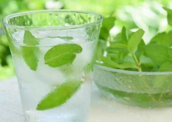 उन्हाळ्यात पुदिन्याचे पाणी पिण्याचे हे आहेत आरोग्यदायी फायदे