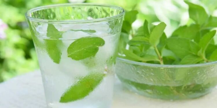 उन्हाळ्यात पुदिन्याचे पाणी पिण्याचे हे आहेत आरोग्यदायी फायदे