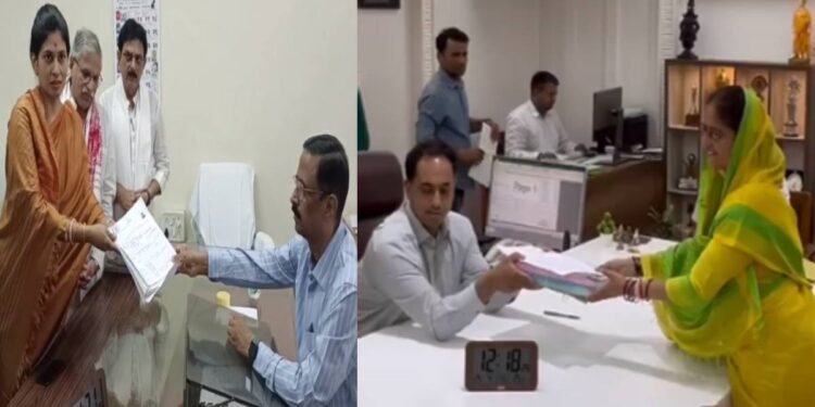 जिल्ह्यातील महायुतीच्या दोन्ही उमेदवारांनी भरला अर्ज