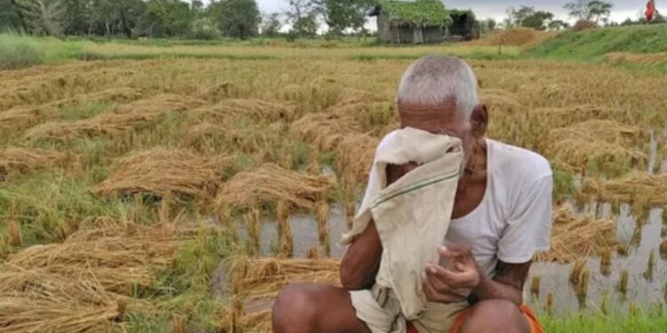 राज्यात अवकाळी पावसाच्या तडाख्यात लाखो हेक्टर शेतीचं नुकसान; बळीराजा पुन्हा एकदा संकटात
