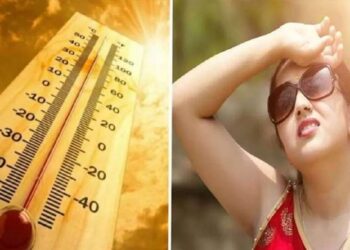 देशात पुन्हा उष्णतेच्या लाटेचा इशारा ; हवामान खात्याचा अंदाज वाचा