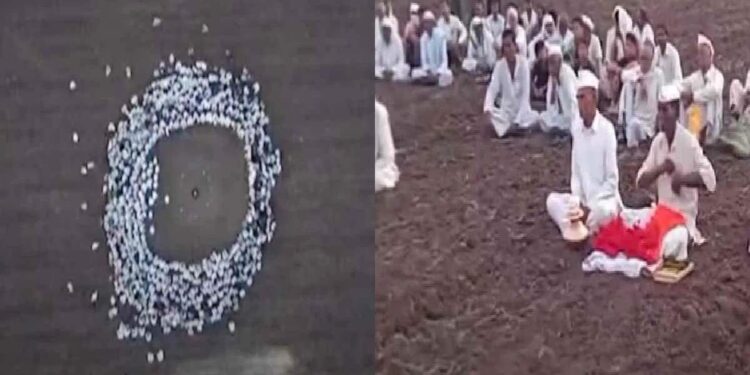 यावर्षी पाऊसपाणी चांगला होणार ; भेंडवळचे दिलासादायक भाकीत आलं समोर