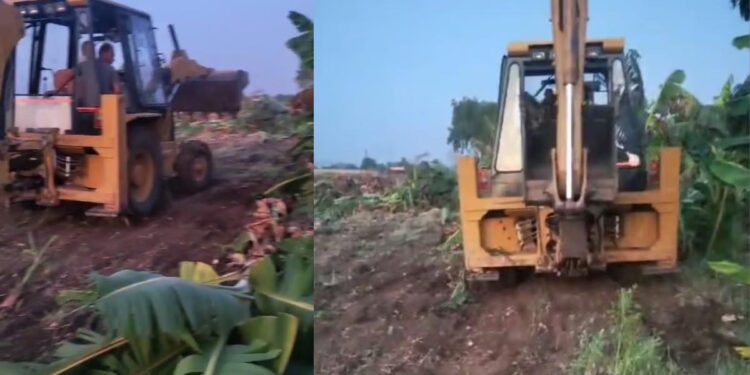 भाव नसल्याने लागवड खर्चही निघेना, शेतकऱ्याने केळी बाग जेसीबीने उपटून फेकली