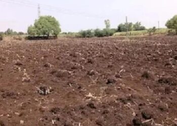 बापरे ! ट्रॅक्टर-जेसीबीच्या मदतीने तरूणीला जमीनीत गाडण्याचा प्रयत्न