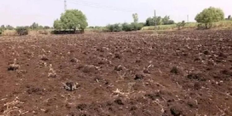 बापरे ! ट्रॅक्टर-जेसीबीच्या मदतीने तरूणीला जमीनीत गाडण्याचा प्रयत्न