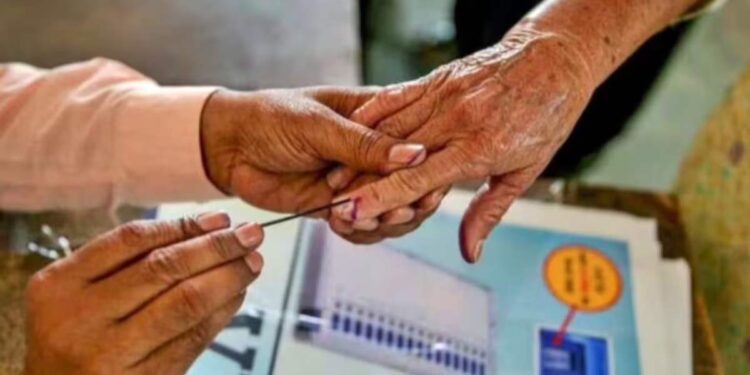 राज्यातील 11 मतदारसंघात दुपारी 3 वाजेपर्यंत 42.35 टक्के मतदान ; सार्वधिक मतदान नंदुरबार