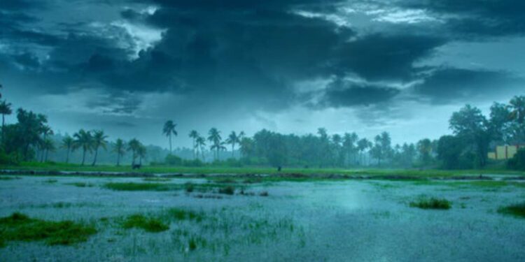 महाराष्ट्रात मान्सून कधी दाखल होणार? हवामान खात्याने वर्तवला महत्वाचा अंदाज