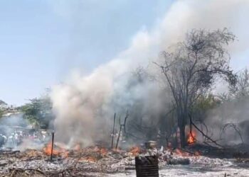 धुळ्यात लाकडाच्या वखारीला भीषण आग ; लाखोंचे नुकसान