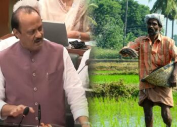 राज्यातील शेतकऱ्यांसाठी अर्थसंकल्पात केल्या ‘या’ मोठ्या घोषणा