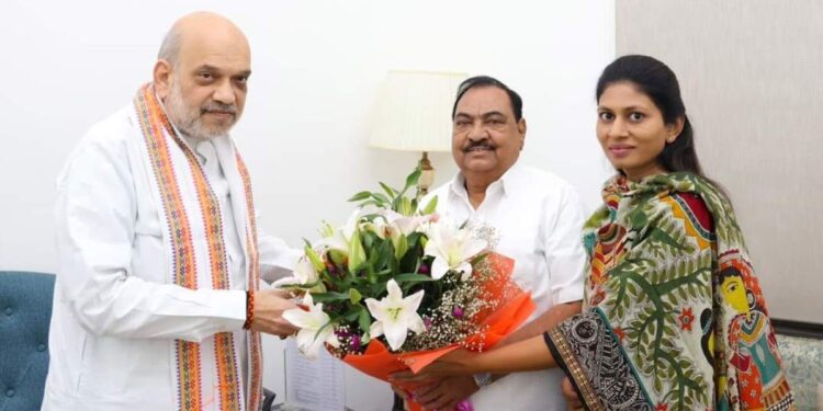 नाथाभाऊंनी घेतली अमित शाहांची भेट! भाजप प्रवेशाचं काय ठरलं?