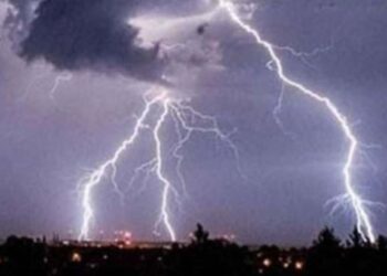 जळगावसह धुळे जिल्ह्यात वीज पडून पशुधनाचा मृत्यू ; शेतकऱ्यांचे मोठं नुकसान