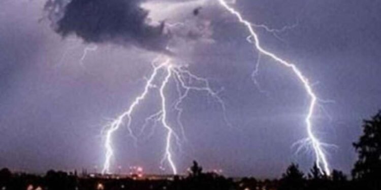 जळगावसह धुळे जिल्ह्यात वीज पडून पशुधनाचा मृत्यू ; शेतकऱ्यांचे मोठं नुकसान