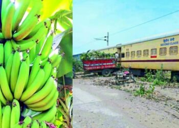 रेल्वे प्रशासनाच्या दिरंगाईमुळे केळी उत्पादकांना लाखोचा फटका