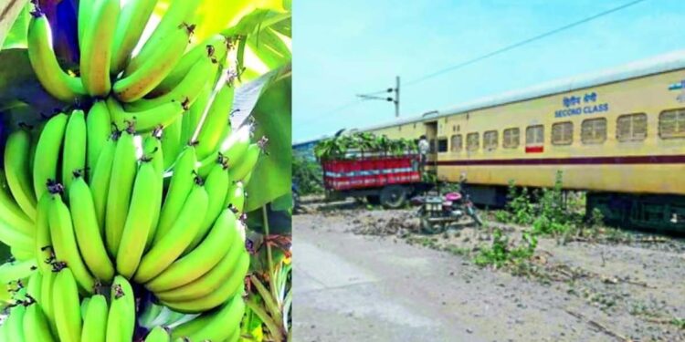 रेल्वे प्रशासनाच्या दिरंगाईमुळे केळी उत्पादकांना लाखोचा फटका