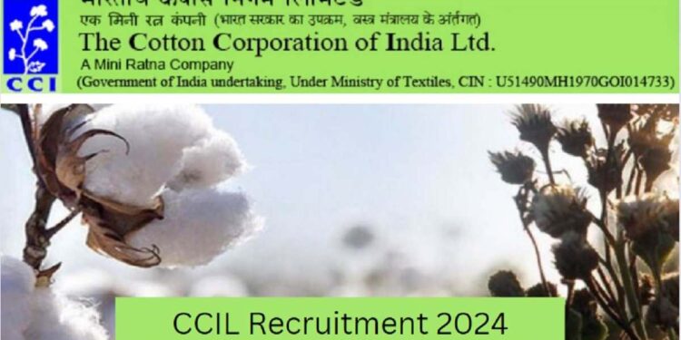कॉटन कॉर्पोरेशन ऑफ इंडिया लिमिटेडमध्ये मोठी भरती ; त्वरित करा अर्ज