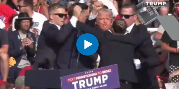 धक्कादायक! डोनाल्ड ट्रम्प यांच्यावर गोळीबार; घटनेचा थरारक VIDEO समोर