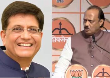 काहीही करा, पण..; अजितदादांनी पियुष गोयल यांच्याकडे केली ही मागणी