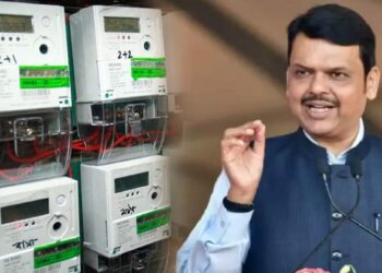 सर्वसामान्य ग्राहकांसाठी स्मार्ट मीटर नाहीत ; देवेंद्र फडणवीसांनी दिली विधानसभेत