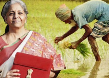 शेतीसाठी अर्थसंकल्पातून होऊ शकतात या पाच मोठ्या घोषणा? काय आहेत जाणून घ्या