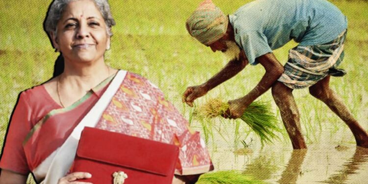 शेतीसाठी अर्थसंकल्पातून होऊ शकतात या पाच मोठ्या घोषणा? काय आहेत जाणून घ्या
