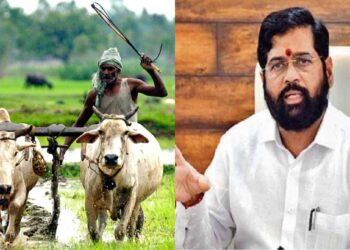 लाडकी बहीण योजनेनंतर सरकारची आणखी एक मोठी योजना, शेतकऱ्यांना मिळणार मोफत वीज