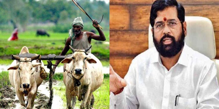 लाडकी बहीण योजनेनंतर सरकारची आणखी एक मोठी योजना, शेतकऱ्यांना मिळणार मोफत वीज