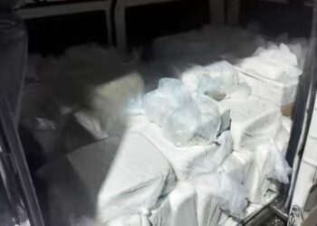 पनीर खाणाऱ्यांनो सावधान! नाशकात 314 किलो भेसळयुक्त पनीर जप्त