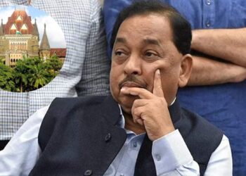 नारायण राणेंच्या खासदारकीवर मोठे संकट! ठाकरे गटाच्या नेत्याची हायकोर्टात धाव