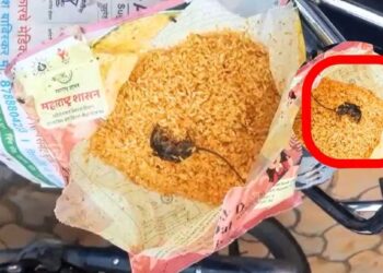 धक्कादायक ! मुलांच्या मध्यान्न भोजनामध्ये चक्क मेलेला उंदिर आढळला